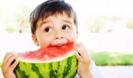 吃瓜吃瓜雪兔,揭秘冬日里的甜蜜生活