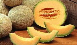 专吃哈密瓜,专吃哈密瓜的味蕾盛宴
