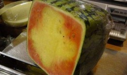 阿吉吃瓜,揭秘娱乐圈背后的那些事儿