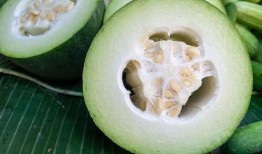 吃瓜用户白胚,揭秘网络热词背后的故事