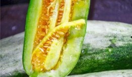 吃瓜2021网红,网络红人的崛起与影响