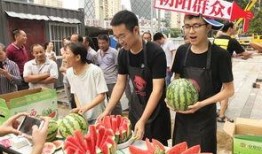 辽宁朝阳吃瓜现场事件,一场引发热议的网络事件深度解析