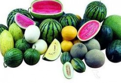 吃瓜弊端,过度关注背后的隐忧