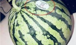 新街吃瓜,揭秘街头美食背后的故事