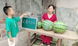 骗局吃瓜,揭秘网络诈骗的隐秘世界