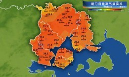 厦门台风吃瓜,厦门市民“吃瓜”见证风雨中的城市韧性