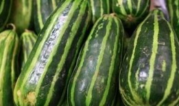 瓜还有人吃吗,探寻瓜类美食的传承与魅力