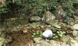 溪边吃瓜拍照,定格夏日美好时光