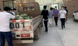 潞城吃瓜新闻事件,一场引发热议的社区事件揭秘