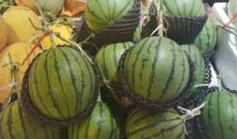 旧金山吃瓜,吃瓜群众的味蕾盛宴