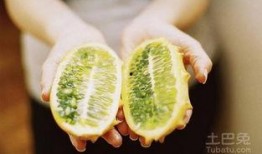 如何形容吃刺角瓜的感觉,舌尖上的独特之旅