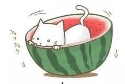 吃瓜遇到装货,揭秘背后惊人真相