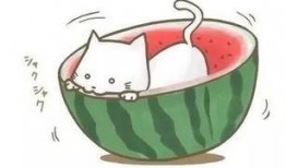 吃瓜遇到装货,揭秘背后惊人真相