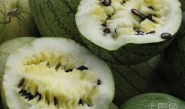 手术后可以吃籽瓜,籽瓜助力健康饮食新选择