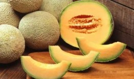 儿童天天吃哈密瓜好吗吗,营养与健康的双重益处