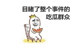 吃瓜点评神句大全