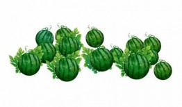 阿琪吃瓜,揭秘娱乐圈那些不为人知的幕后故事