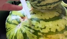 吃瓜好玩,揭秘娱乐圈那些事儿