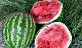 贵州吃的瓜,从酸辣到鲜香，一网打尽特色瓜果佳肴