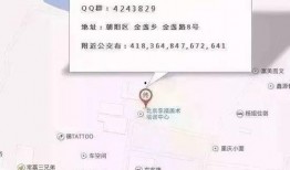 山东联考吃瓜,揭秘背后真相与反思