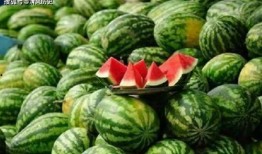 吃瓜被夹在中间,吃瓜群众的意外遭遇