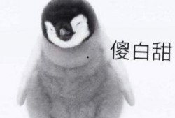 理性吃瓜发怒,揭秘网络时代的情绪宣泄新趋势