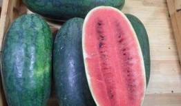 黑吃瓜网料,网络舆论场中的暗流涌动