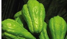 牙疼可吃佛手瓜吗,佛手瓜能缓解不适吗？