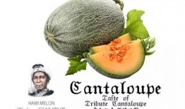 48号吃瓜,揭秘娱乐圈背后的那些事儿