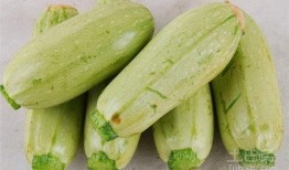 瓜瓜吃瓜照片,趣味瞬间捕捉