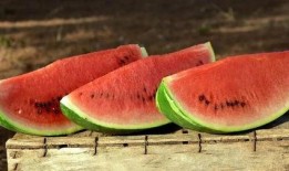 崔布局ins照片吃瓜,吃瓜群众热议背后的故事