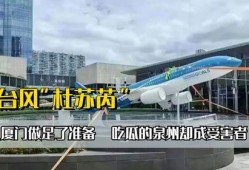 厦门台风吃瓜,厦门市民“吃瓜”见证风雨中的城市韧性