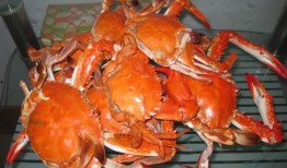 东营西城吃瓜,清凉一夏，品味地方特色