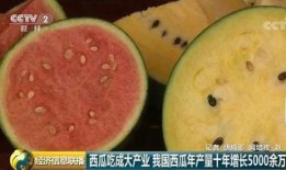 吃瓜群众吃中国瓜,跟随吃瓜群众品味中国瓜文化