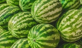 城市里吃瓜的情景,瓜香四溢的夏日休闲时光