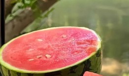 崔布局ins照片吃瓜,吃瓜群众热议背后的故事