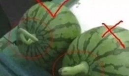 怎么屏蔽吃瓜广告,畅享无干扰网络体验