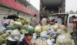 曹县吃瓜事件始末,一场网络狂欢背后的真相与反思