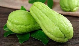 牙疼可吃佛手瓜吗,佛手瓜能缓解不适吗？