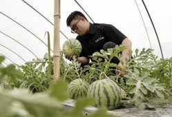 吃瓜模式拍照,揭秘娱乐圈幕后故事