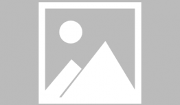 吃瓜大头猫咪,揭秘宠物界的“网红”传奇