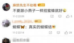 男子吃瓜趣事视频,一瓜引发的网络狂欢