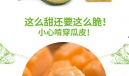 48号吃瓜,揭秘娱乐圈背后的那些事儿