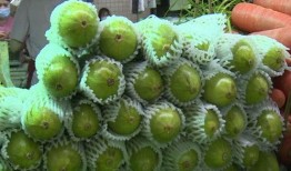 吃葫芦瓜成分,健康饮食新选择