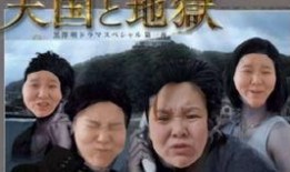 kpop吃瓜永动机,揭秘娱乐圈的“瓜田”盛景