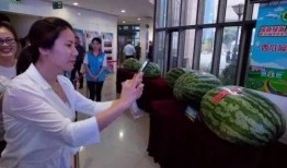 潞城吃瓜新闻事件,一场引发热议的社区事件揭秘