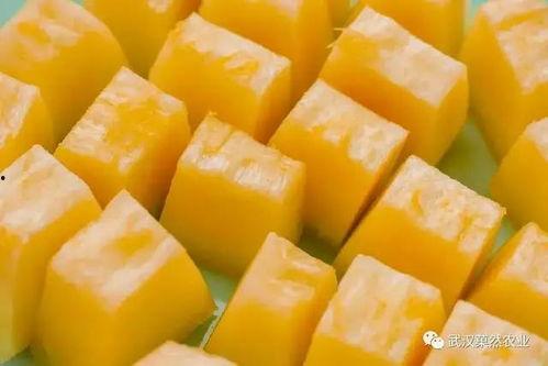 蜜露密瓜怎么吃,尽享夏日清新美味